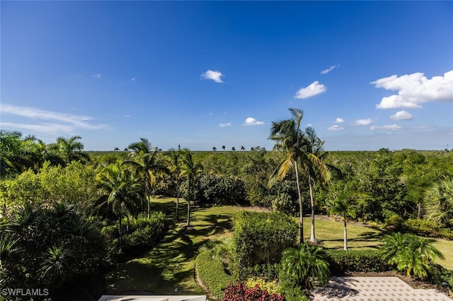 1065 Borghese Ln Unit 303, Naples, FL 34114 - photo 11