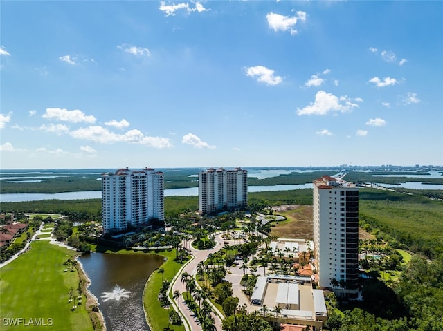 1065 Borghese Ln Unit 303, Naples, FL 34114 - photo 48