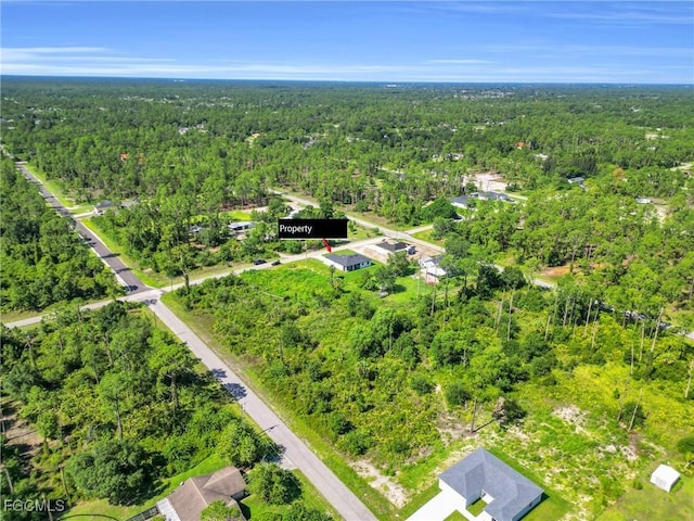 4103 E 9th St, Lehigh Acres, FL 33972 - photo 37