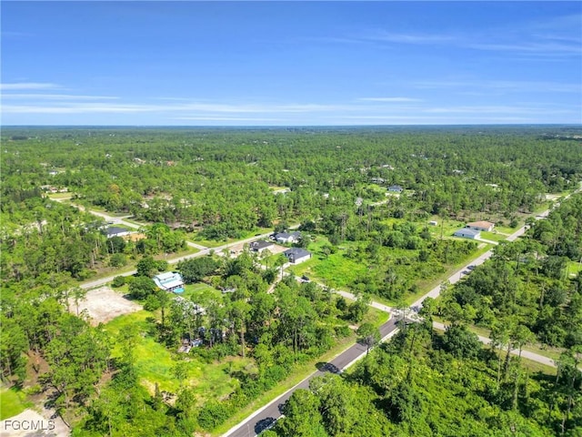4103 E 9th St, Lehigh Acres, FL 33972 - photo 38