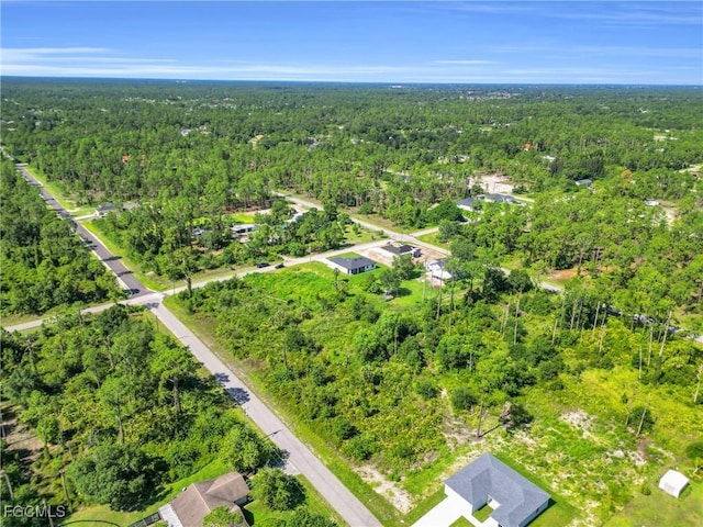 4103 E 9th St, Lehigh Acres, FL 33972 - photo 39