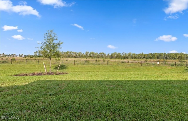20885 Napa Loop, Estero, FL 33928 - photo 37