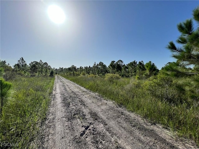 49673 Bermont Rd, Punta Gorda, FL 33982 - photo 3
