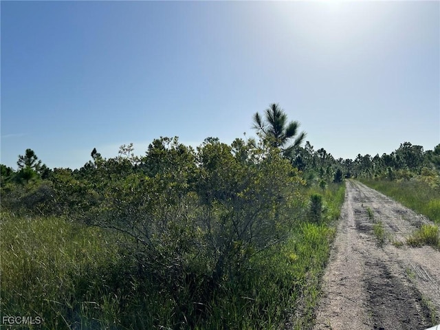49673 Bermont Rd, Punta Gorda, FL 33982 - photo 4