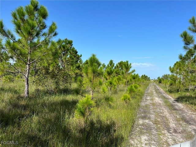 49673 Bermont Rd, Punta Gorda, FL 33982 - photo 5