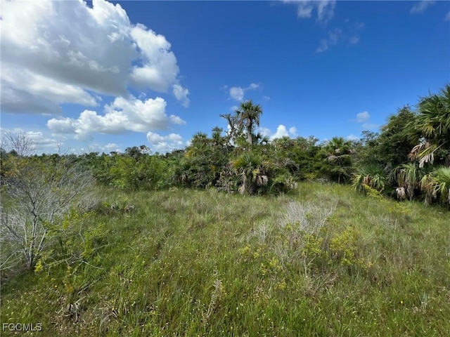 49673 Bermont Rd, Punta Gorda, FL 33982 - photo 7