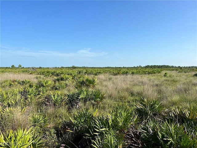 49673 Bermont Rd, Punta Gorda, FL 33982 - photo 8