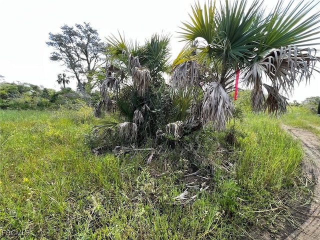 49673 Bermont Rd, Punta Gorda, FL 33982 - photo 9