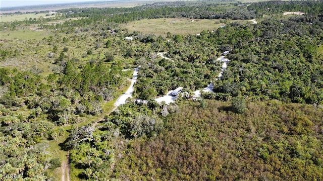 49673 Bermont Rd, Punta Gorda, FL 33982 - photo 13