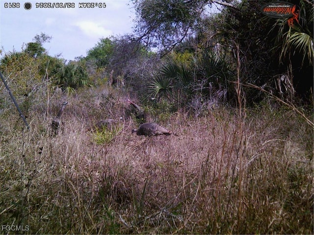 49673 Bermont Rd, Punta Gorda, FL 33982 - photo 21
