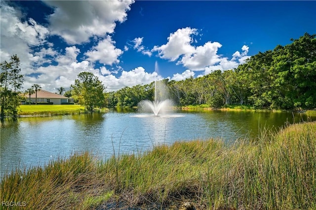 14101 Brant Point Cir Unit 3204, Fort Myers, FL 33919 - photo 45