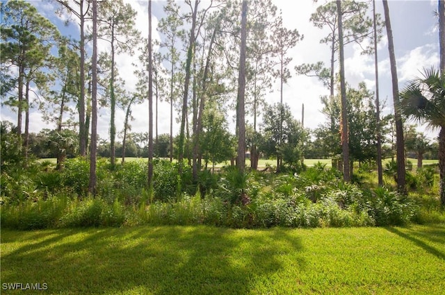20091 Seagrove St Unit 802, Estero, FL 33928 - photo 22