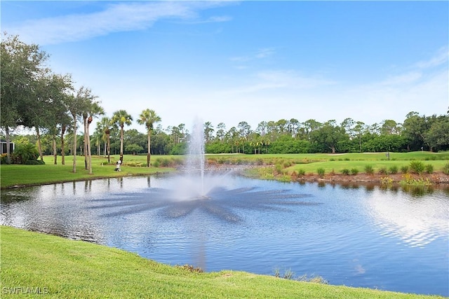 2329 Heritage Greens Dr, Naples, FL 34119 - photo 27