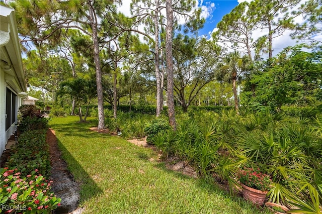 25190 Fairway Dunes Ct, Bonita Springs, FL 34135 - photo 25