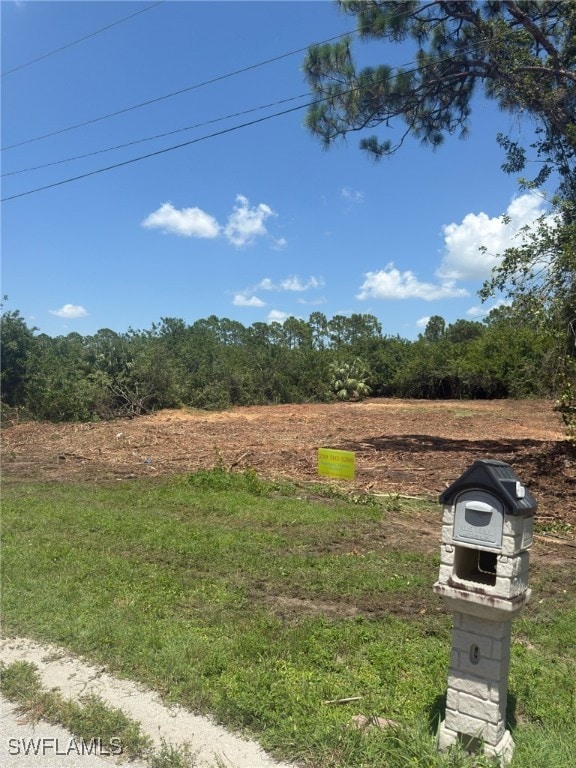 449 Naples Ave S, Lehigh Acres, FL 33974 - photo 3