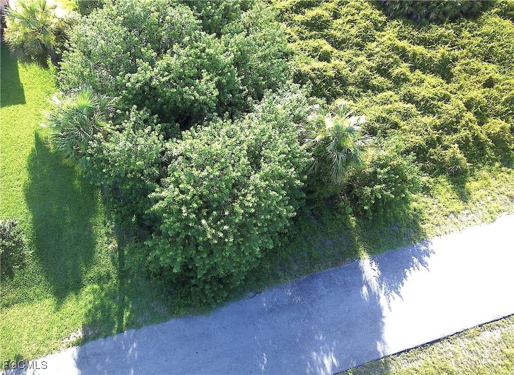1517 Scott Ave, Lehigh Acres, FL 33972 - photo 2