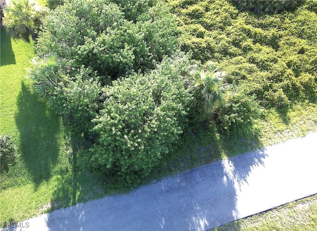 1517 Scott Ave, Lehigh Acres, FL 33972 - photo 2