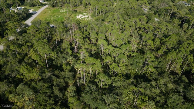 3483 Dream St, Punta Gorda, FL 33980 - photo 9