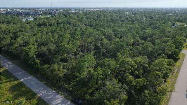 3483 Dream St, Punta Gorda, FL 33980 - photo 1