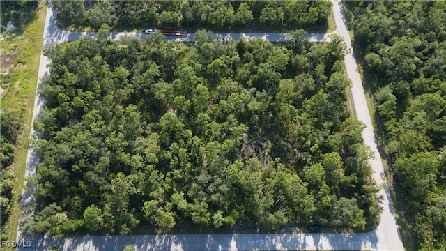 3483 Dream St, Punta Gorda, FL 33980 - photo 15