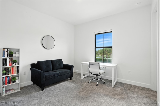 4349 Sonoma Oaks Cir, Naples, FL 34119 - photo 23