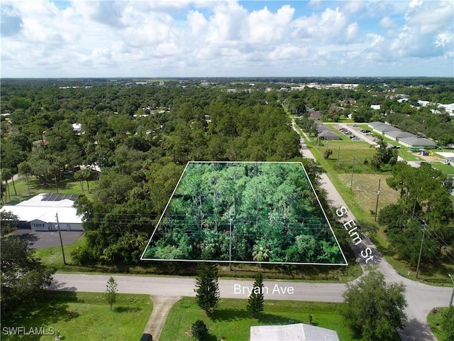 0 S Elm St, Labelle, FL 33935 - photo 3
