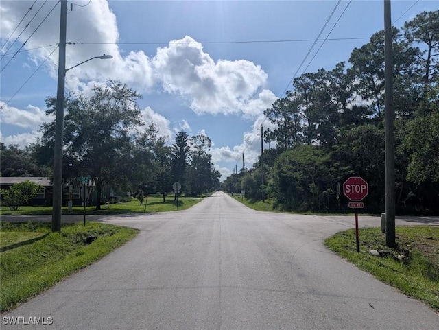 0 S Elm St, Labelle, FL 33935 - photo 16