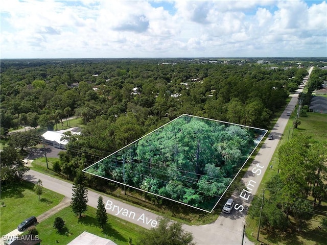 0 S Elm St, Labelle, FL 33935 - photo 1