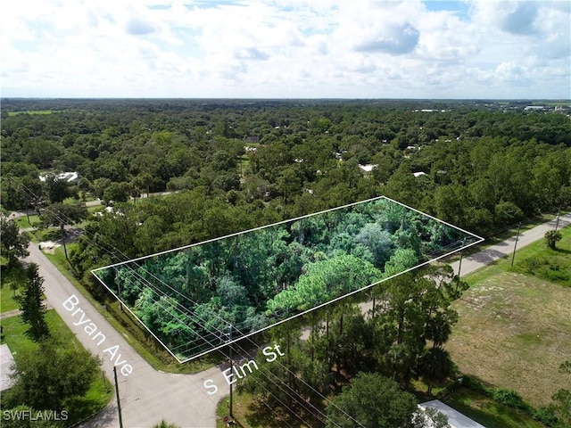 0 S Elm St, Labelle, FL 33935 - photo 12