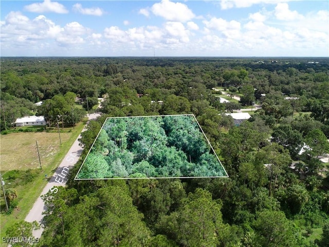 0 S Elm St, Labelle, FL 33935 - photo 4