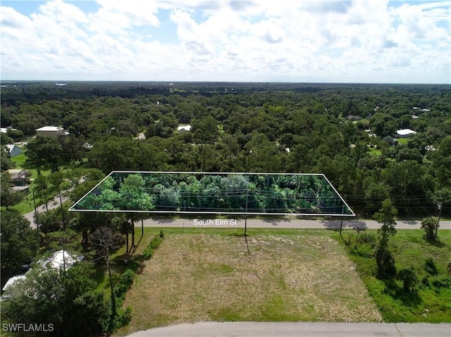 0 S Elm St, Labelle, FL 33935 - photo 11