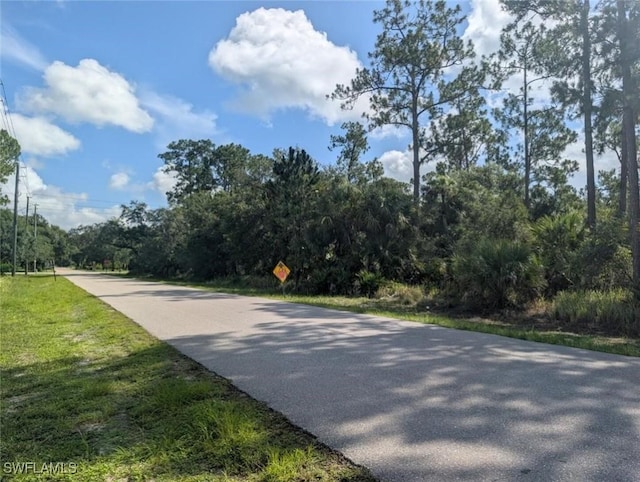 0 S Elm St, Labelle, FL 33935 - photo 18