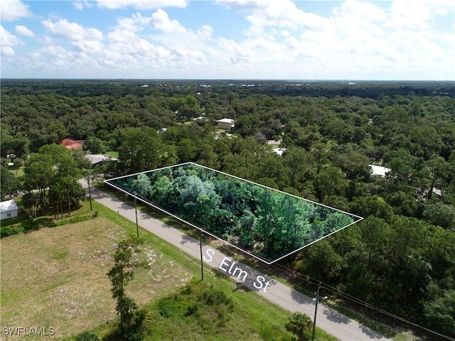 0 S Elm St, Labelle, FL 33935 - photo 10