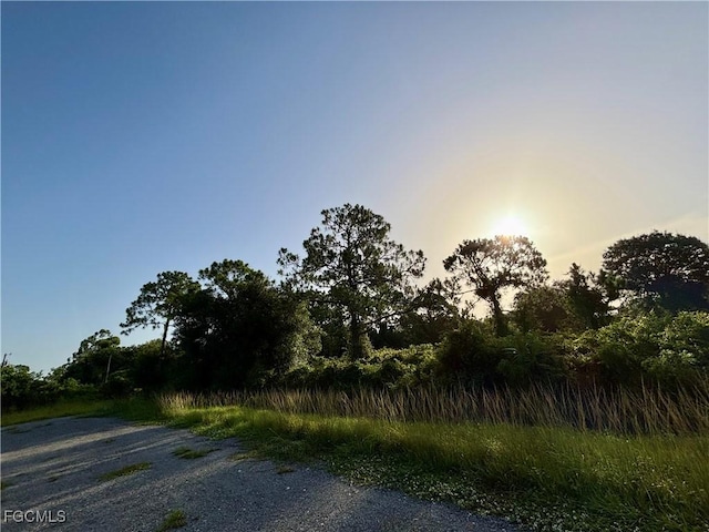 425 S Coral St, Clewiston, FL 33440 - photo 3