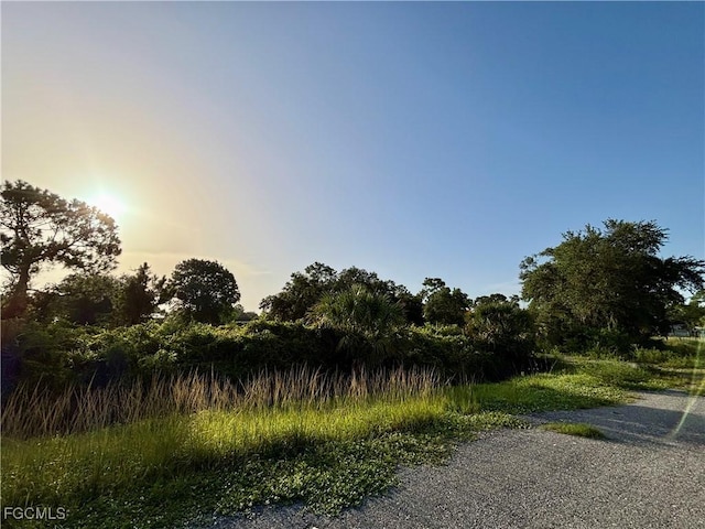 425 S Coral St, Clewiston, FL 33440 - photo 4
