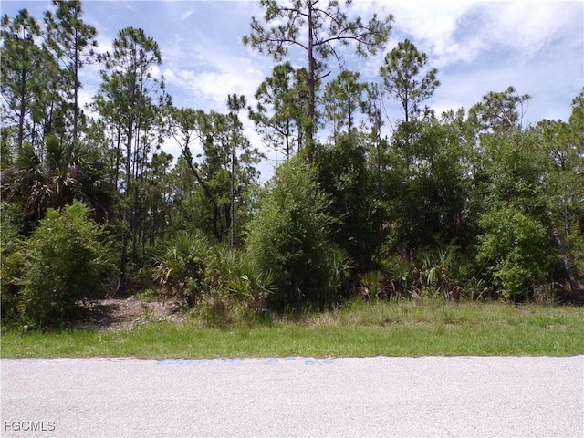 23413 Patera Ave, Punta Gorda, FL 33980 - photo 1