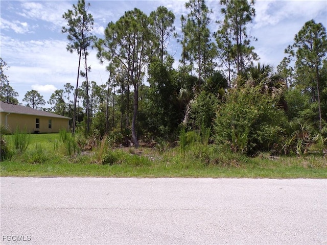 23413 Patera Ave, Punta Gorda, FL 33980 - photo 2