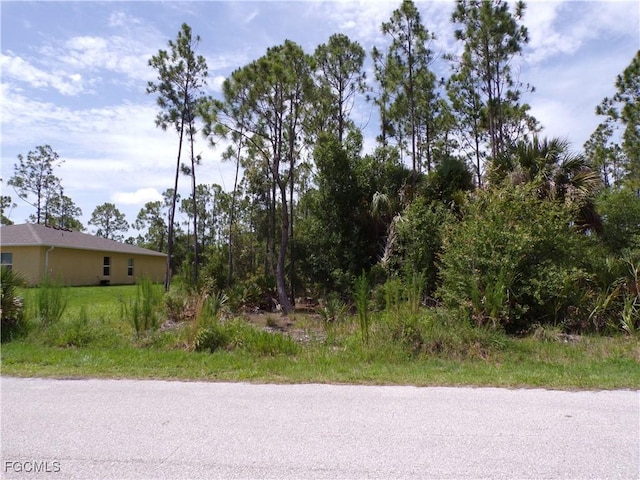 23413 Patera Ave, Punta Gorda, FL 33980 - photo 8