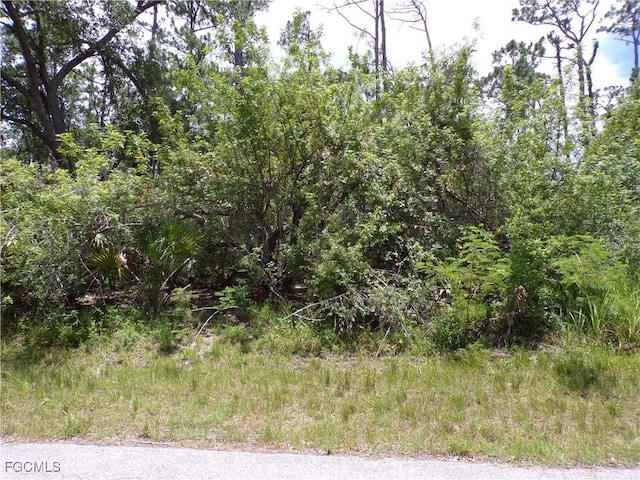 18179 Winters Ave, Port Charlotte, FL 33948 - photo 1