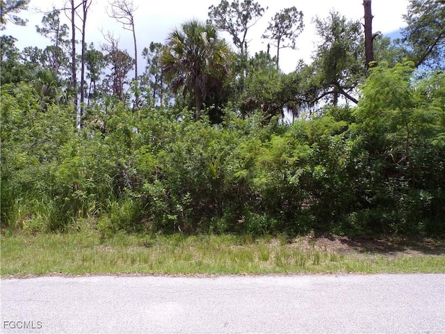 18179 Winters Ave, Port Charlotte, FL 33948 - photo 2