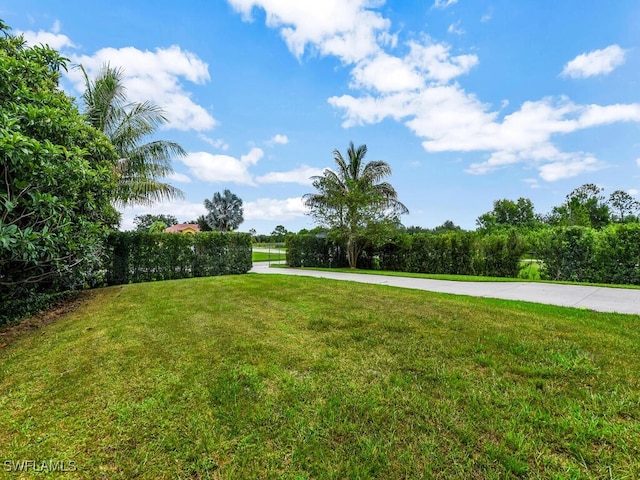 4380 20th Ave NE, Naples, FL 34120 - photo 35