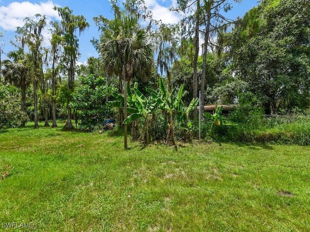 4380 20th Ave NE, Naples, FL 34120 - photo 44