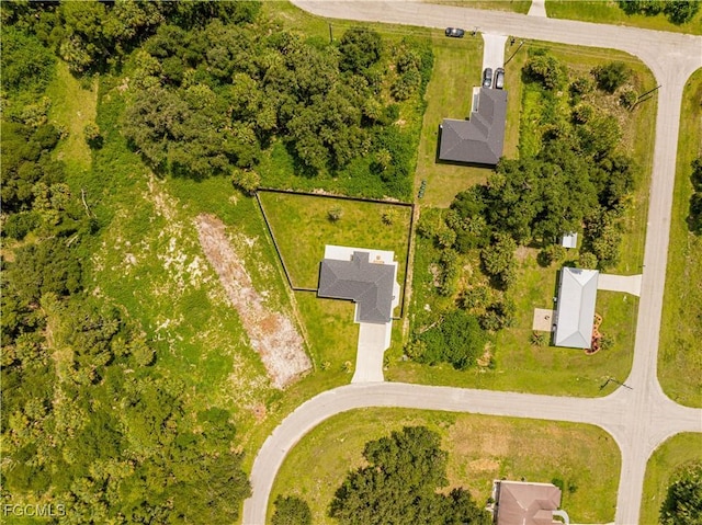 1035 March Ln, Labelle, FL 33935 - photo 47