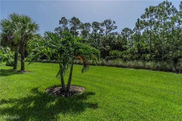 6870 Winding Cypress Dr, Naples, FL 34114 - photo 42