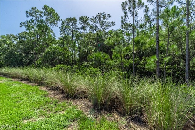 6870 Winding Cypress Dr, Naples, FL 34114 - photo 40