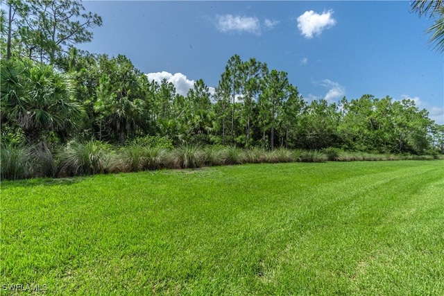 6870 Winding Cypress Dr, Naples, FL 34114 - photo 37
