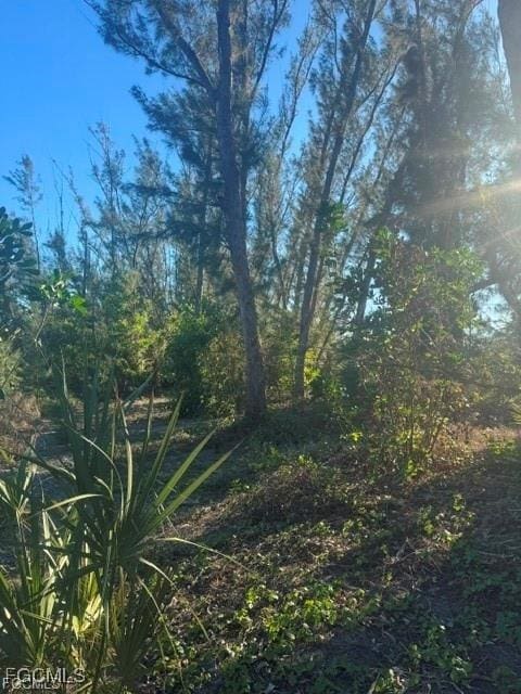3666 Stabile Rd Fl, Pine Island, FL 33956 - photo 6