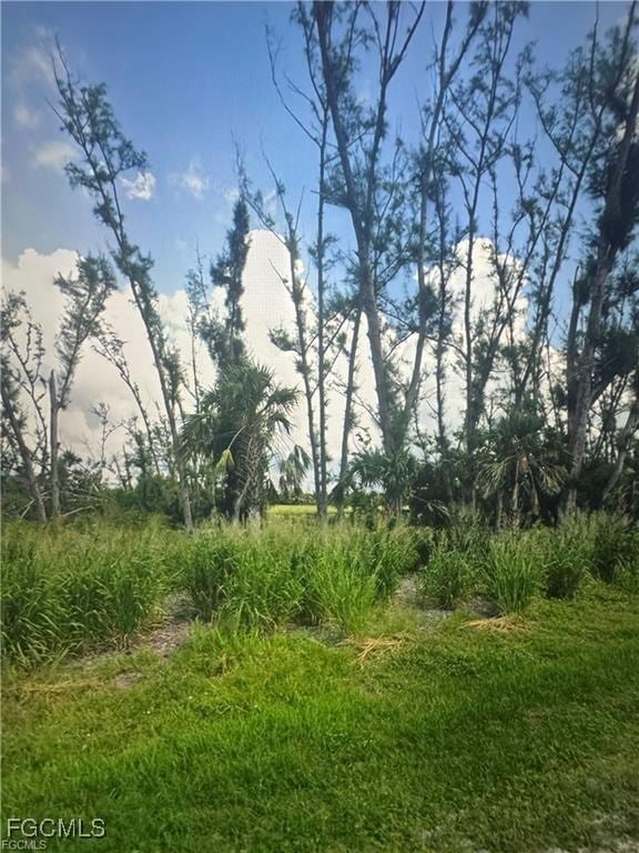 3666 Stabile Rd Fl, Pine Island, FL 33956 - photo 8