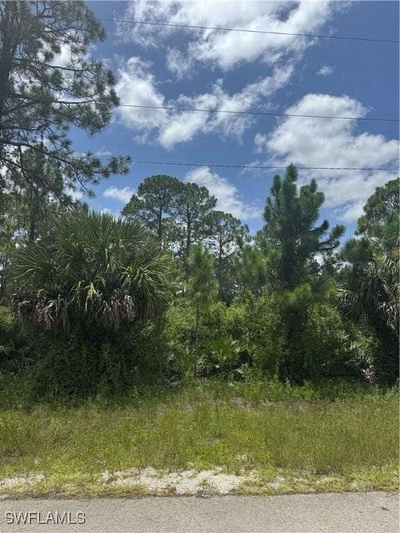 3315 70th St W, Lehigh Acres, FL 33971 - photo 2
