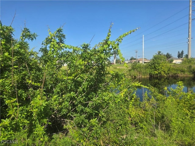2405 NW 7th Ave, Cape Coral, FL 33993 - photo 1